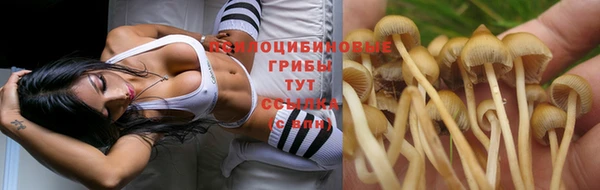 винт Волоколамск